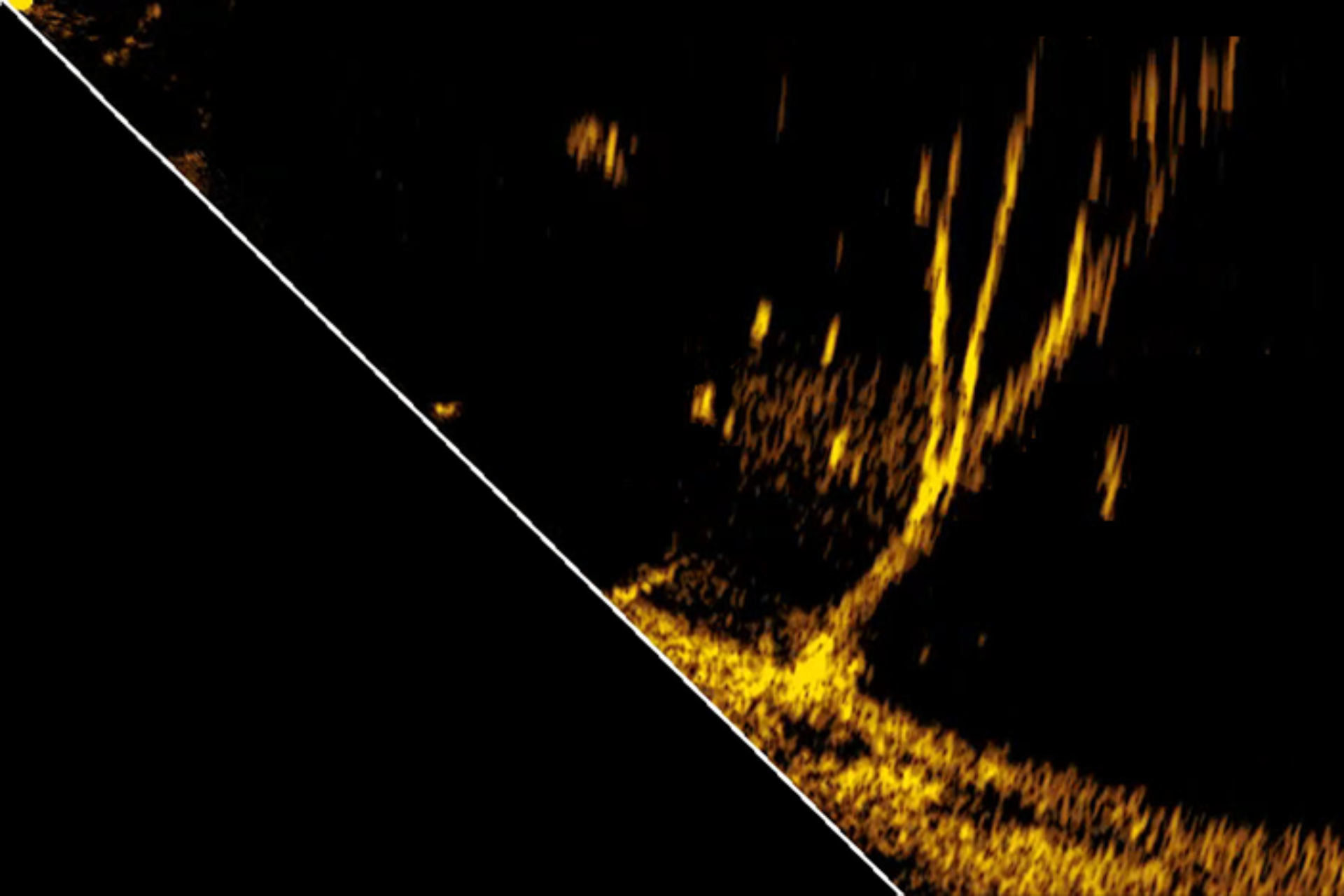 Live Sonar - вид вперед