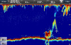 Raymarine CP470 E70298 от прозводителя Raymarine