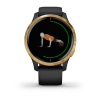 Garmin Venu - | Black with Gold Hardware