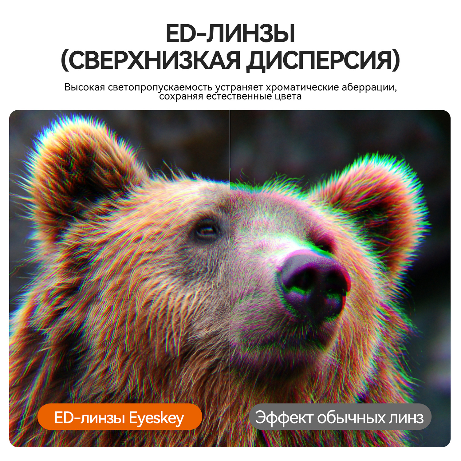 Бинокль Eyeskey Vigil - 10x42