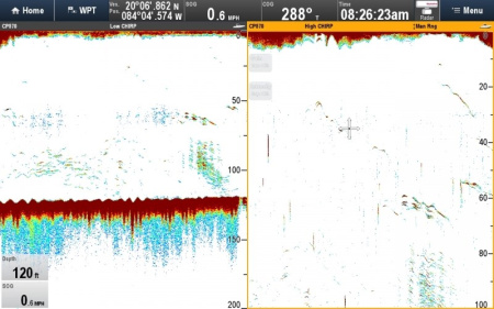 Raymarine CP570 E70258 от прозводителя Raymarine