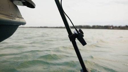 Accuphy PingLive Sonar APL от прозводителя ACCUPHY