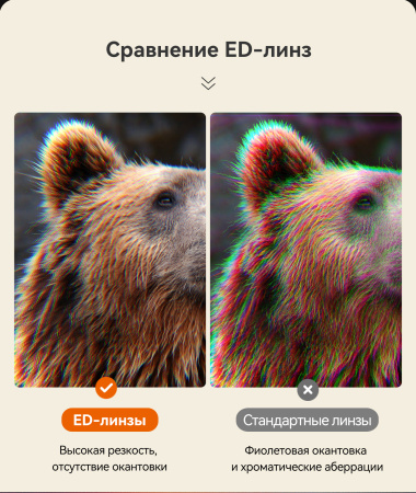 Бинокль Eyeskey Vigil - 10x42 EyeS-B151 от прозводителя Eyeskey