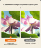 Бинокль Eyeskey Vigil - 10x42 EyeS-B151 от прозводителя Eyeskey