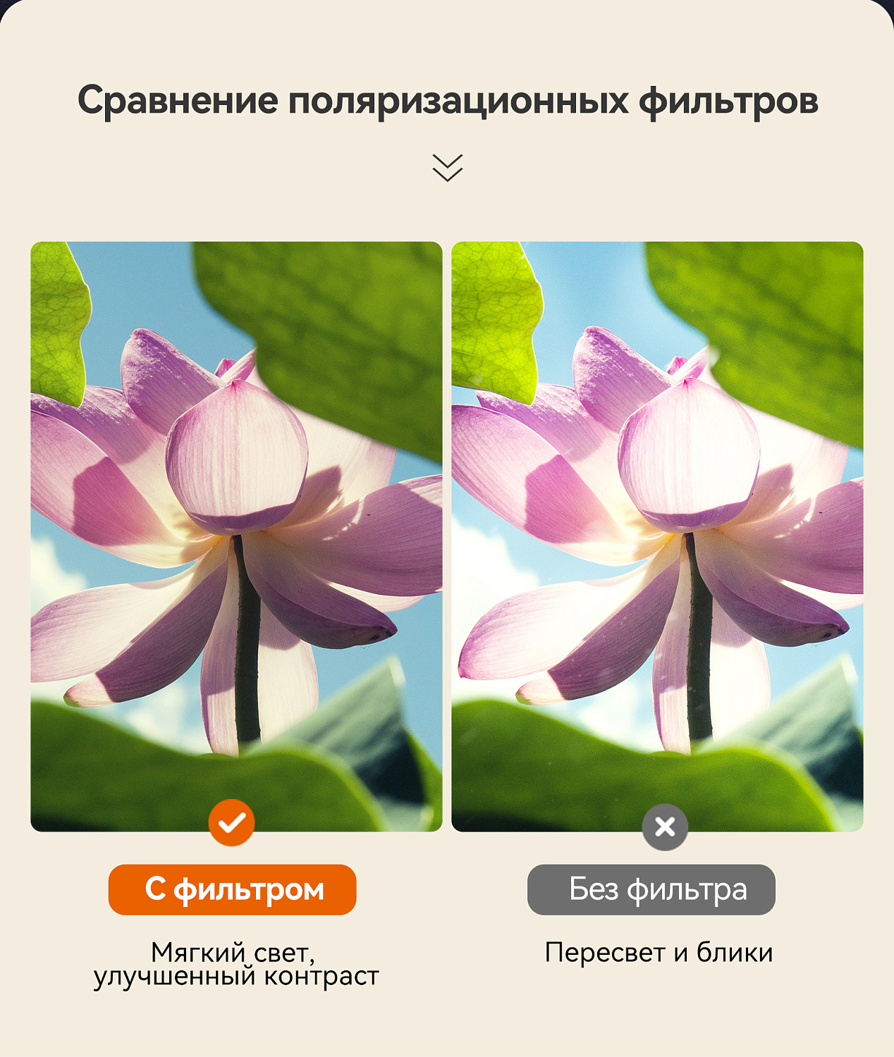 Бинокль Eyeskey Vigil - 10x42