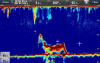 Raymarine CP470 E70298 от прозводителя Raymarine